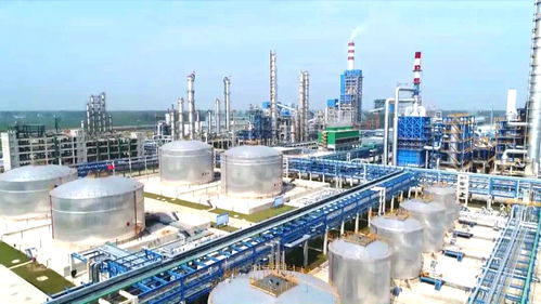 阜陽市潁東區 免申即享 讓惠企政策兌現更快捷