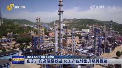山東 向高端要效益 化工產業轉型升級再提速